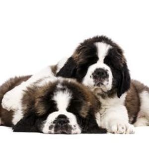 Meet your Posher, Vicky